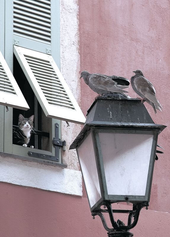 国足多回合配合中球员站位变化热图，国足回主场