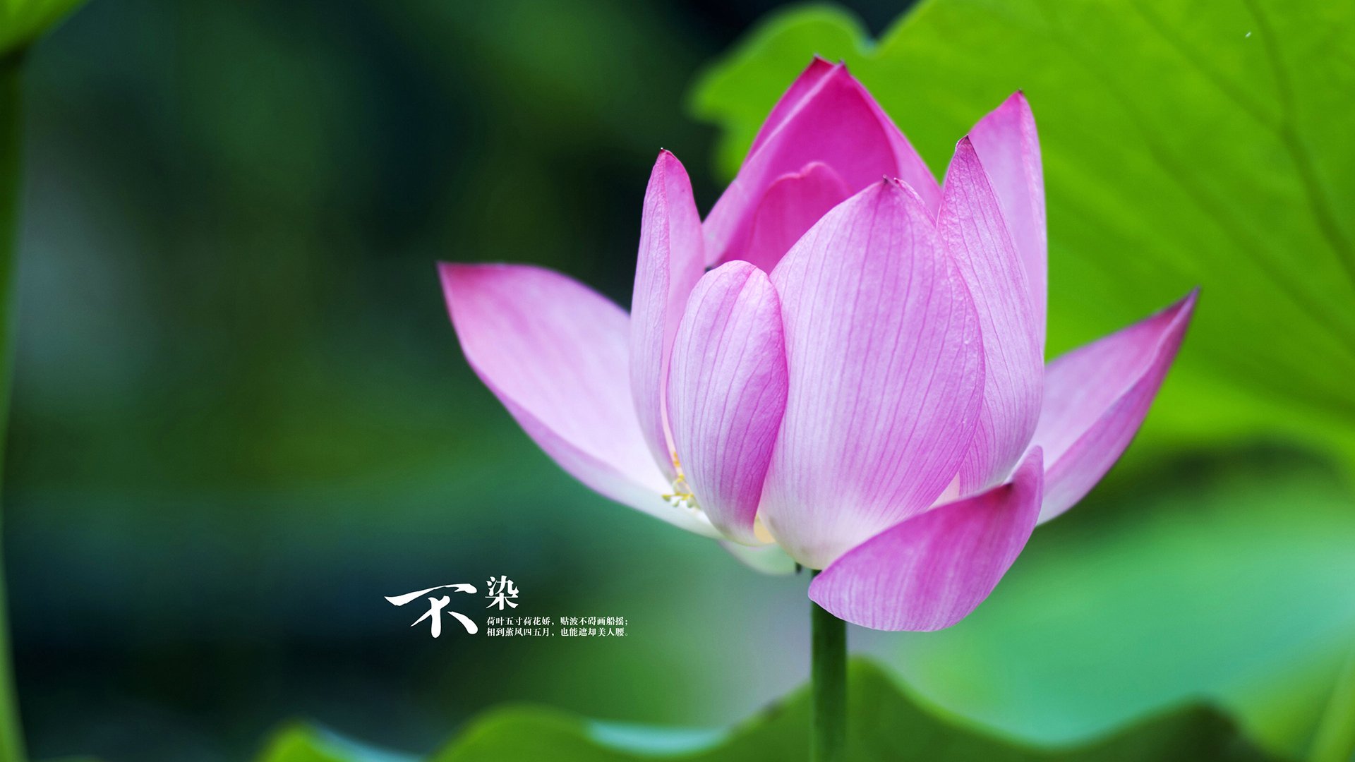 新闻中心启动智能工厂建设，智能工厂建设内容